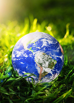 Działania branżowe i współpraca w sektorze odpadów